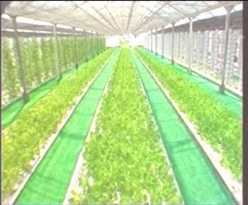 沙巴体育·(中国)官方网站 - APP下载