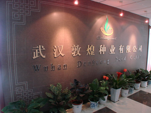 沙巴体育·(中国)官方网站 - APP下载