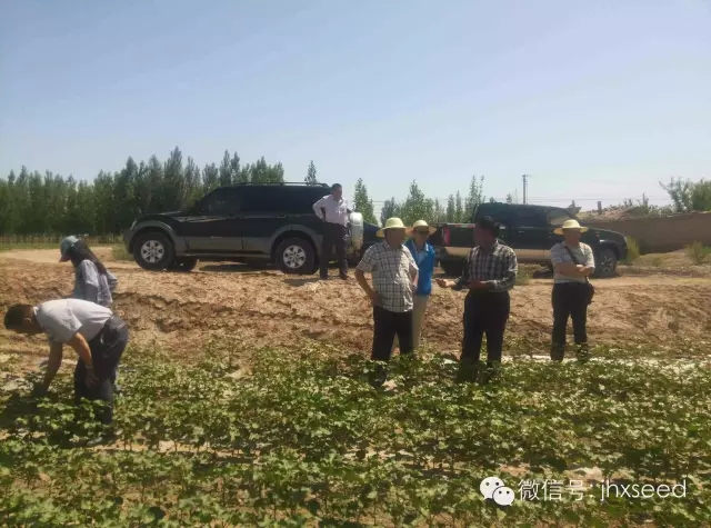 557fdd4479b3c 沙巴体育·(中国)官方网站 - APP下载